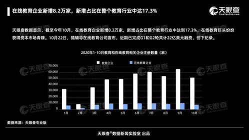 在線教育行業迅猛擴張 截至十月新增8.2萬家企業，占比達行業17%